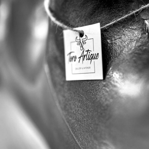 Toro-Artique-q-05.jpg